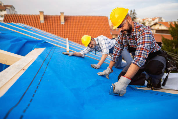 Best Gutter Installation and Roofing  in Mount Juliet, TN