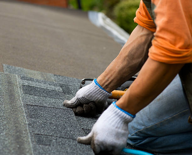 Roof Gutter Cleaning in Mount Juliet, TN